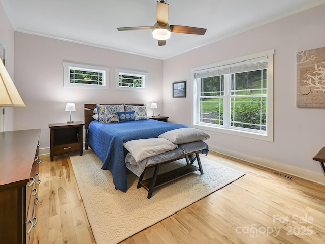 26 Addison Fisher Way, Asheville, NC 28805 - bedroom featuring multiple windows, light wood-style flooring, baseboards, crown molding, and a ceiling fan