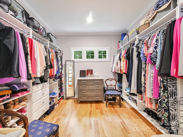 26 Addison Fisher Way, Asheville, NC 28805 - spacious closet with wood finished floors