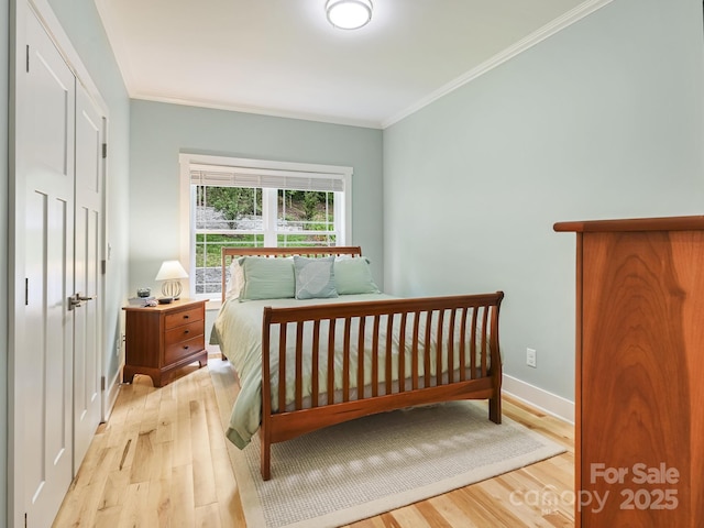 26 Addison Fisher Way, Asheville, NC 28805 - bedroom featuring light wood-style floors, crown molding, and baseboards