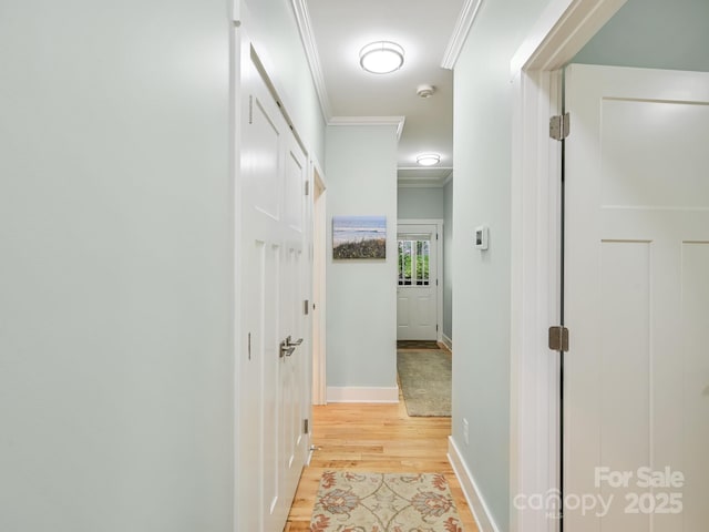 26 Addison Fisher Way, Asheville, NC 28805 - hall with light wood-style flooring, ornamental molding, and baseboards
