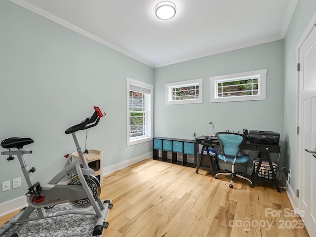 26 Addison Fisher Way, Asheville, NC 28805 - office space featuring ornamental molding, wood finished floors, and baseboards