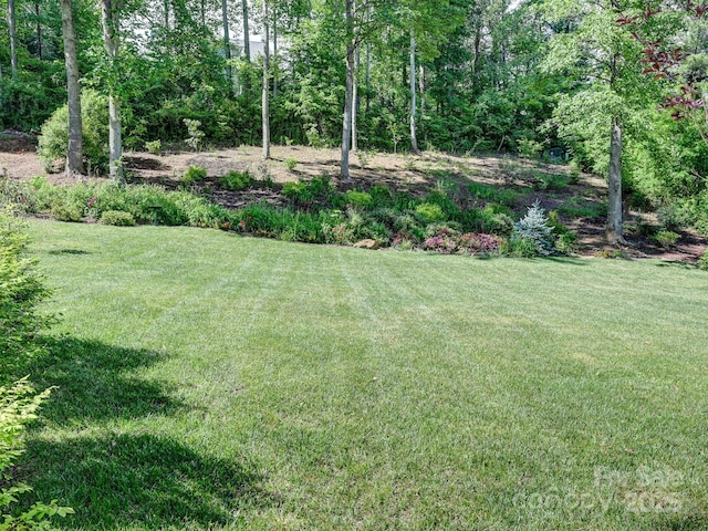 26 Addison Fisher Way, Asheville, NC 28805 - view of green lawn