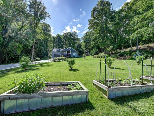 26 Addison Fisher Way, Asheville, NC 28805 - view of grassy yard featuring a vegetable garden