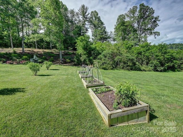 26 Addison Fisher Way, Asheville, NC 28805 - view of green lawn with a garden