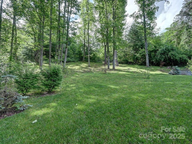 26 Addison Fisher Way, Asheville, NC 28805 - view of grassy yard featuring a forest view