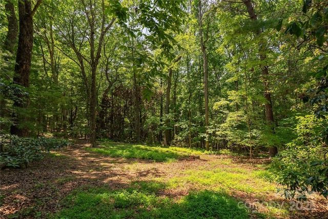 2 Oak Grove Rd, Arden, NC 28704 - photo 35