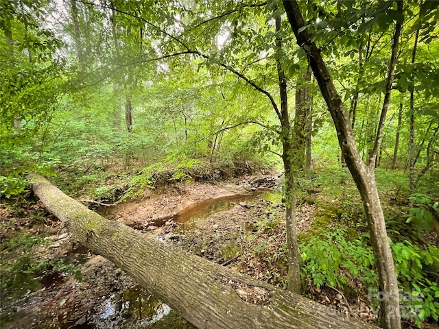 3314 Mara Ct, Matthews, NC 28105 - view of woods