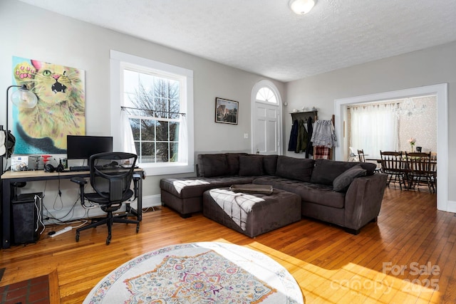 98 S Main St, Granite Falls, NC 28630 - living area featuring hardwood / wood-style flooring, a textured ceiling, an office area, and baseboards