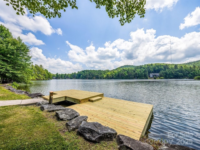 514 Eagle Lake Dr, Brevard, NC 28712 - photo 40