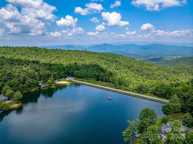 514 Eagle Lake Dr, Brevard, NC 28712 - photo 42
