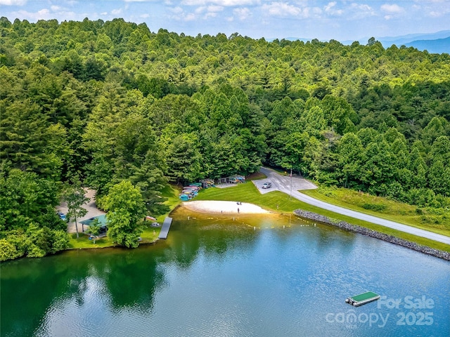514 Eagle Lake Dr, Brevard, NC 28712 - photo 43