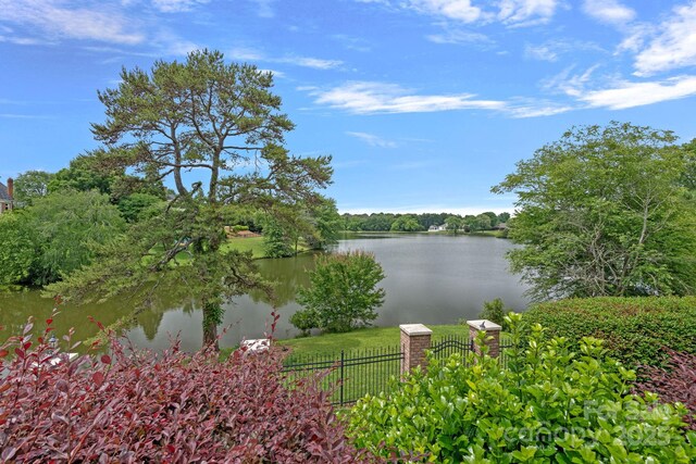8800 Covey Rise Ct, Charlotte, NC 28226 - photo 42