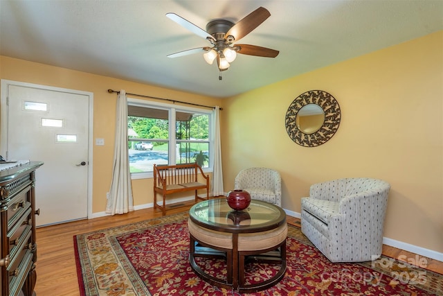 39 N Pershing Rd, Asheville, NC 28805 - photo 5