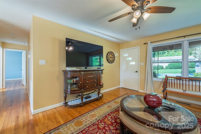 39 N Pershing Rd, Asheville, NC 28805 - photo 18