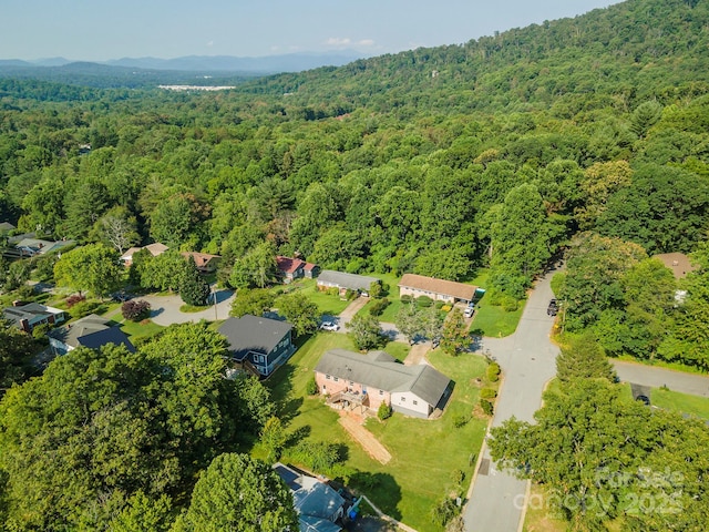 39 N Pershing Rd, Asheville, NC 28805 - photo 34