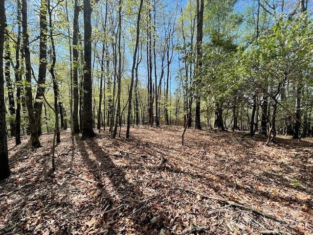 U15/L018 Sedi Ln, Brevard, NC 28712