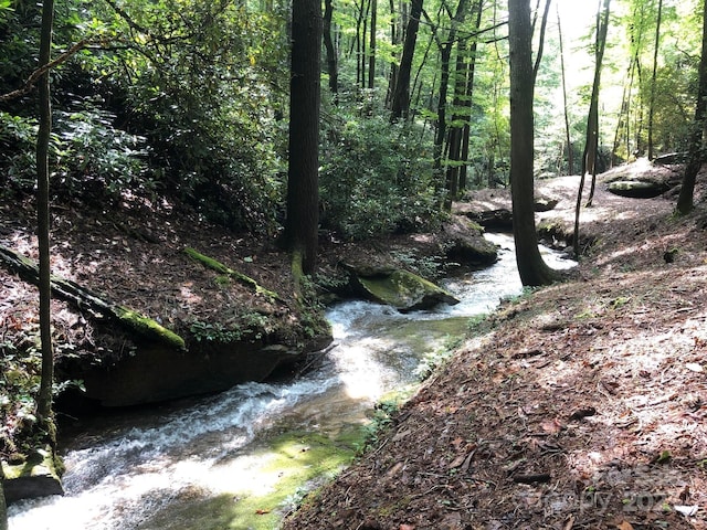 U15/L018 Sedi Ln, Brevard, NC 28712