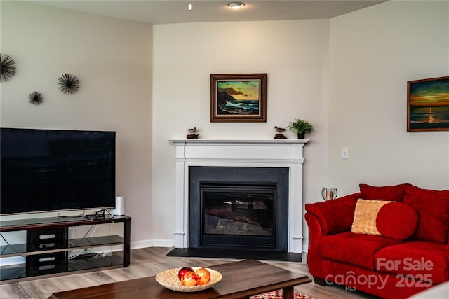 6038 Durango Way, Denver, NC 28037 - living room featuring a fireplace with flush hearth and wood finished floors