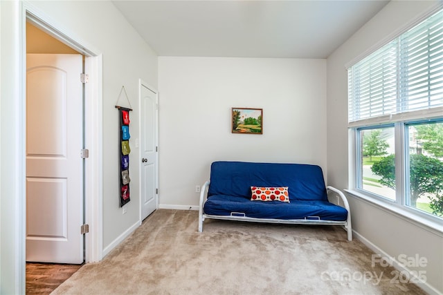 6038 Durango Way, Denver, NC 28037 - sitting room featuring carpet and baseboards
