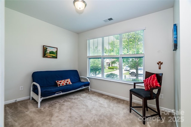6038 Durango Way, Denver, NC 28037 - photo 16
