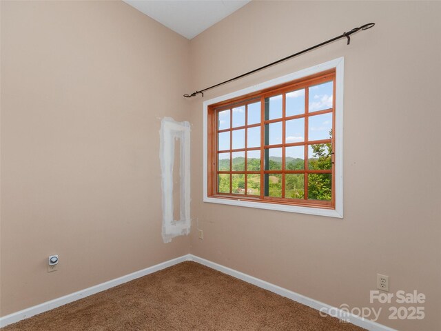 126 Sweetwater Dr, Canton, NC 28716 - photo 41