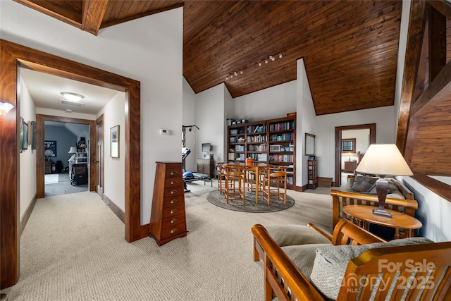 4862 Pinnacle Mountain Rd, Zirconia, NC 28790 - carpeted living area with wooden ceiling and high vaulted ceiling