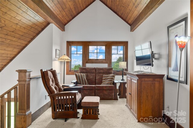 4862 Pinnacle Mountain Rd, Zirconia, NC 28790 - living area with carpet floors, wood ceiling, and vaulted ceiling