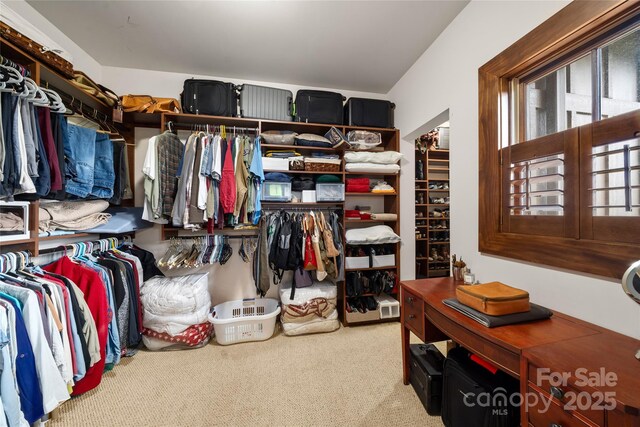 4862 Pinnacle Mountain Rd, Zirconia, NC 28790 - walk in closet featuring carpet flooring
