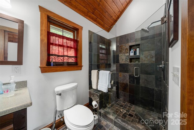 4862 Pinnacle Mountain Rd, Zirconia, NC 28790 - full bath with wooden ceiling, vanity, lofted ceiling, and a shower stall