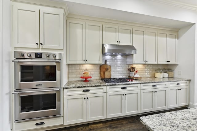 164 Twin Sisters Ln, Mooresville, NC 28117 - kitchen featuring stainless steel appliances, under cabinet range hood, dark wood-style flooring, backsplash, and light stone counters