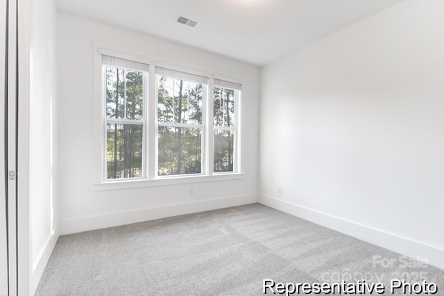 236 Wheatfield Dr Unit 102P, Statesville, NC 28677 - photo 26