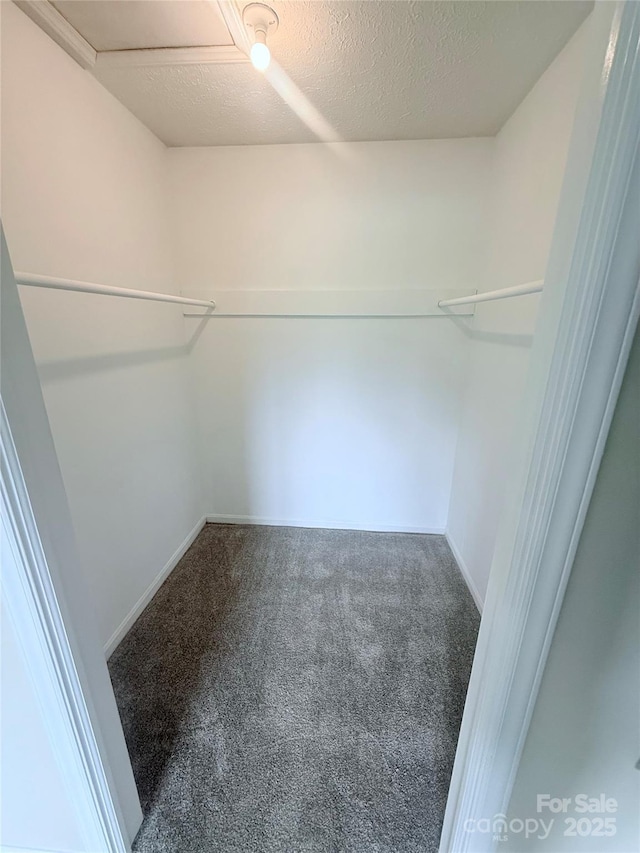 300 N Watterson St, Kings Mountain, NC 28086 - walk in closet featuring carpet flooring
