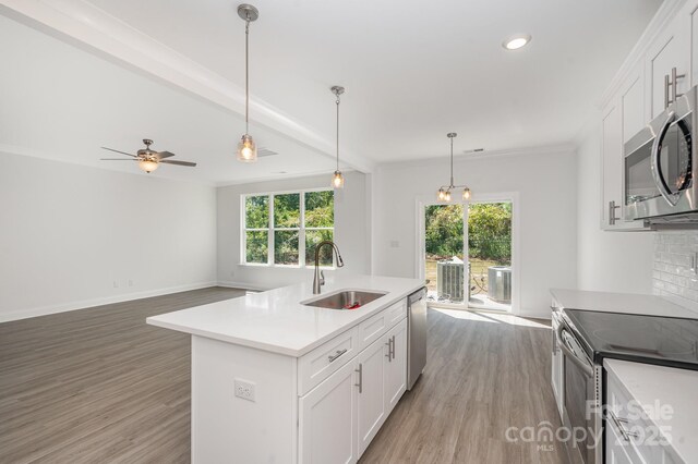 1807 Country Club Rd, Lincolnton, NC 28092 - kitchen featuring a sink, stainless steel appliances, plenty of natural light, light wood-type flooring, and recessed lighting