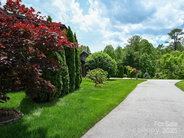 560 Summerfield Pl, Flat Rock, NC 28731 - photo 28