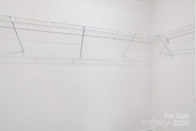 401 W Charlotte Ave, Mount Holly, NC 28120 - view of walk in closet