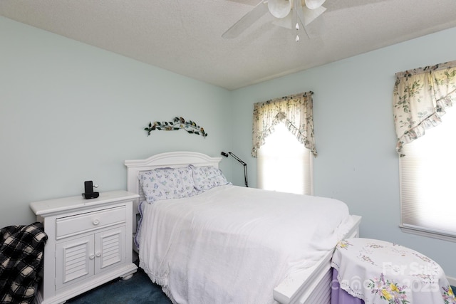 517 Powell St, Rock Hill, SC 29732 - bedroom with multiple windows, dark colored carpet, and ceiling fan