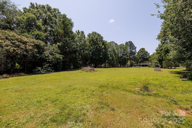 517 Powell St, Rock Hill, SC 29732 - view of grassy yard