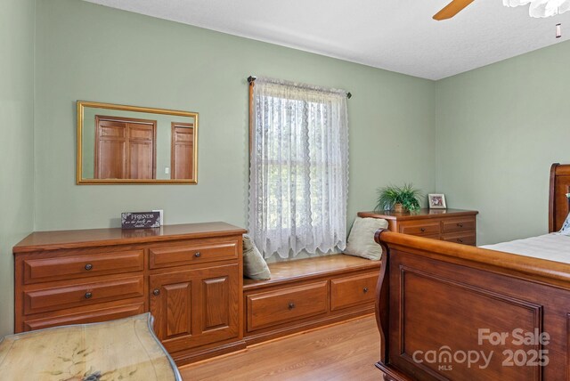 250 Huey Rd, Marshall, NC 28753 - bedroom featuring light wood-style floors and ceiling fan