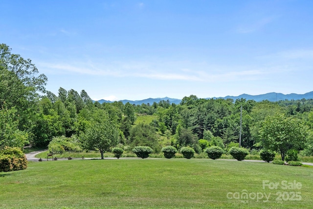 250 Huey Rd, Marshall, NC 28753 - view of mountain background