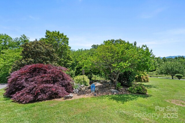 250 Huey Rd, Marshall, NC 28753 - view of green lawn