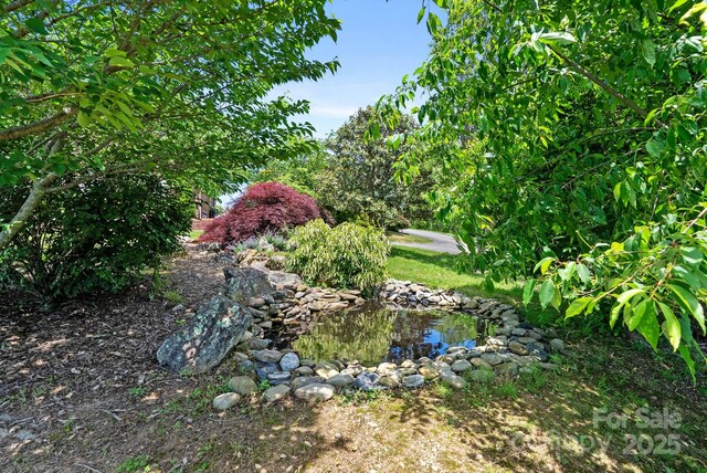250 Huey Rd, Marshall, NC 28753 - view of yard