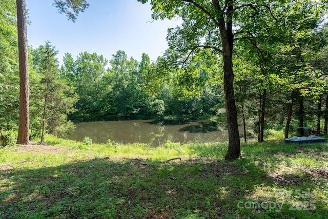 16132 Mclester Rd, Oakboro, NC 28129 - view of woods featuring a water view