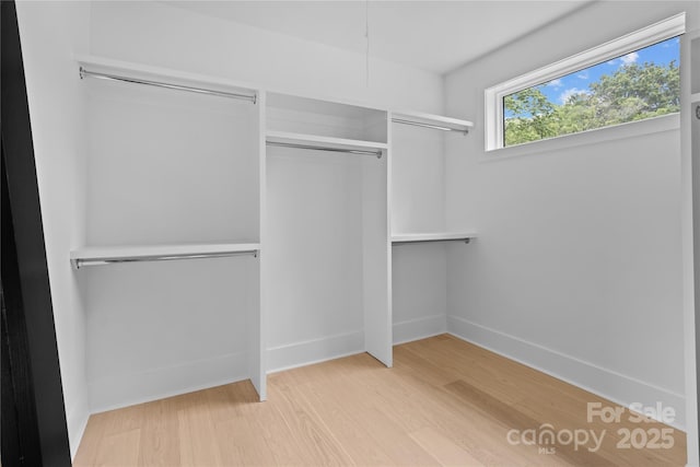 3822 Topsfield Rd, Charlotte, NC 28211 - walk in closet with wood finished floors
