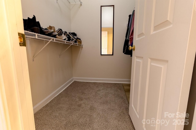 11867 Ridgeway Park Dr, Charlotte, NC 28277 - walk in closet featuring carpet floors