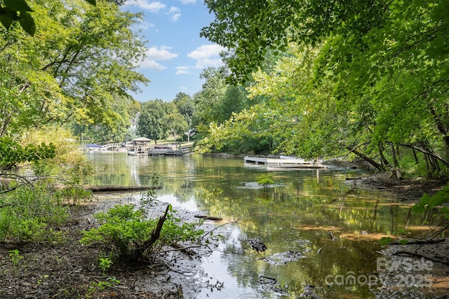 386 Squirrel Ln, Lake Wylie, SC 29710 - water view with a forest