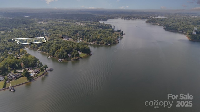 386 Squirrel Ln, Lake Wylie, SC 29710 - aerial overview of property's location featuring a nearby body of water, a forest, and property boundaries highlighted