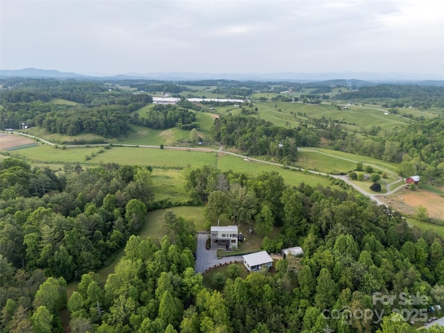 21, 13 Wild Pine Ct, Leicester, NC 28748 - photo 42