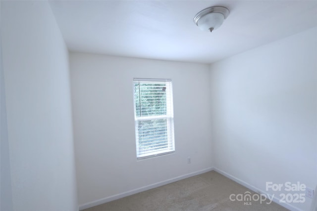 6919 Ware Rd, Charlotte, NC 28212 - photo 12