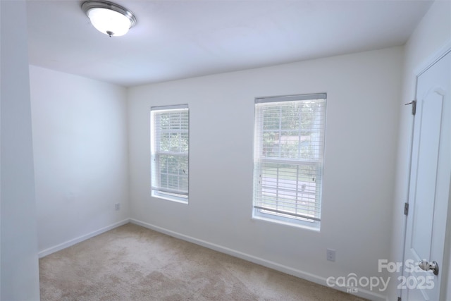 6919 Ware Rd, Charlotte, NC 28212 - photo 14