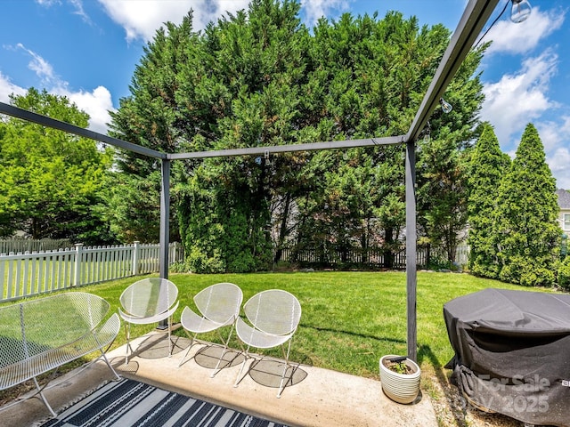 10639 Secret Garden Ln, Charlotte, NC 28214 - view of patio / terrace featuring view of scattered trees